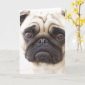 Pug Dog Wenskaart Kaart (Gele Bloem)