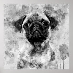 Pug Dog Zwart-wit Waterverf 01 Poster