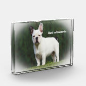 Pug Dogs Fotoblokken (Links)