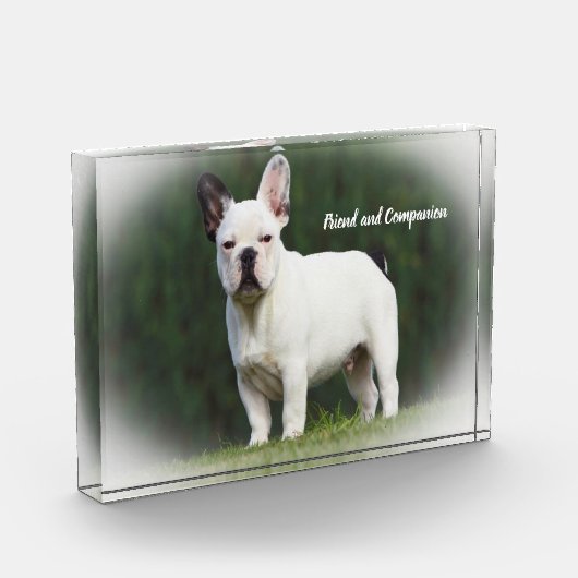 Pug Dogs Fotoblokken (Links)