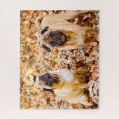 Pug Dogs. Legpuzzel (Verticaal)
