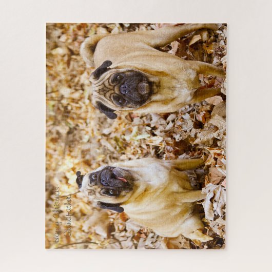Pug Dogs. Legpuzzel (Verticaal)