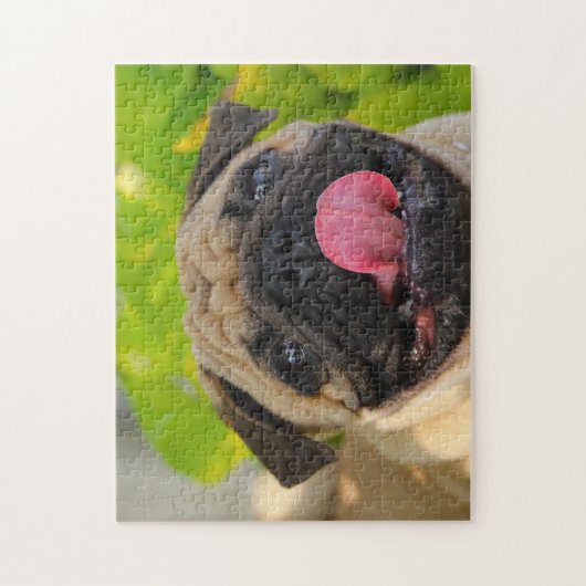 Pug Dogs. Legpuzzel (Verticaal)