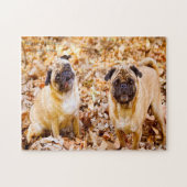 Pug Dogs. Legpuzzel (Horizontaal)