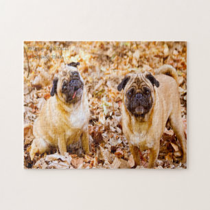 Pug Dogs. Legpuzzel