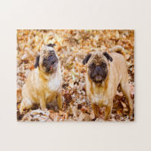 Pug Dogs. Legpuzzel (Horizontaal)