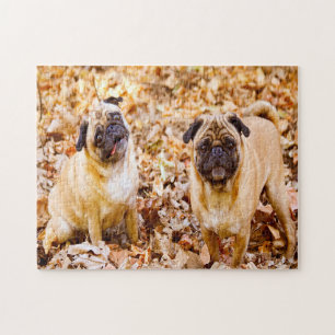Pug Dogs. Legpuzzel