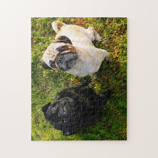 Pug Dogs. Legpuzzel (Verticaal)