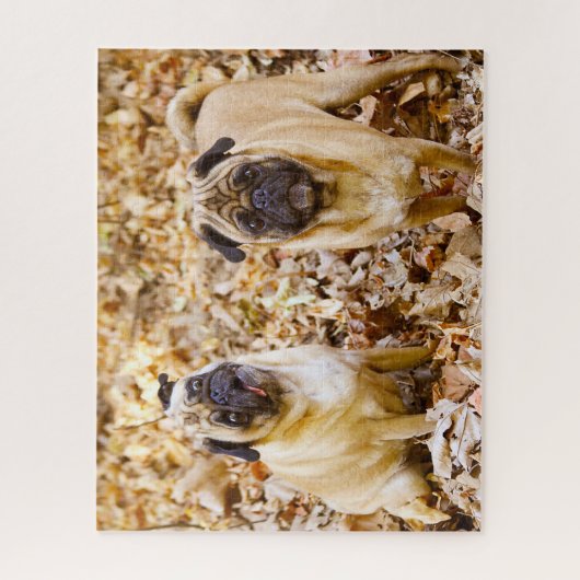 Pug Dogs. Legpuzzel (Verticaal)
