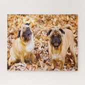 Pug Dogs. Legpuzzel (Horizontaal)