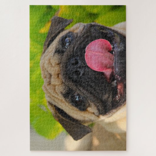 Pug Dogs. Legpuzzel (Verticaal)