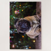 Pug Dogs. Legpuzzel (Verticaal)