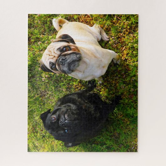 Pug Dogs. Legpuzzel (Verticaal)