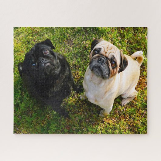 Pug Dogs. Legpuzzel (Horizontaal)