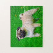 Pug Dogs. Legpuzzel (Verticaal)