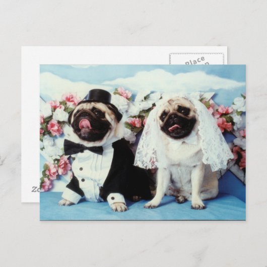 Pug Dogs Wedding Briefkaart (Voorkant / Achterkant)