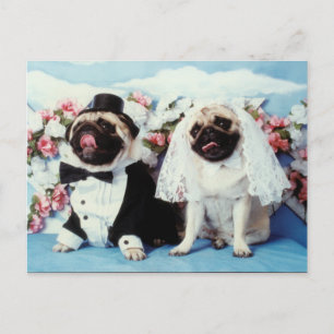 Pug Dogs Wedding Briefkaart