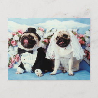 Pug Dogs Wedding Briefkaart