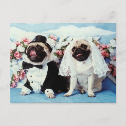 Pug Dogs Wedding Briefkaart (Voorkant)