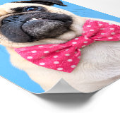 Pug Draagt Roze Strik Poster (Hoek)