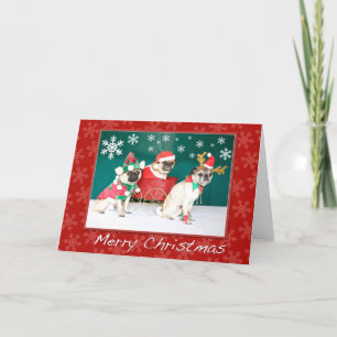 Pug Drie Kerstmis Feestdagen Kaart