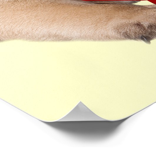 Pug een kerstStar-afdrukken Poster (Hoek)