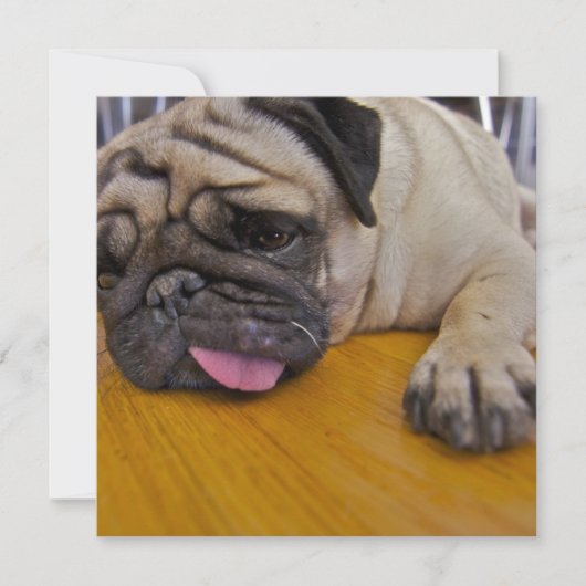 Pug één te veel uitnodiging (Voorkant)