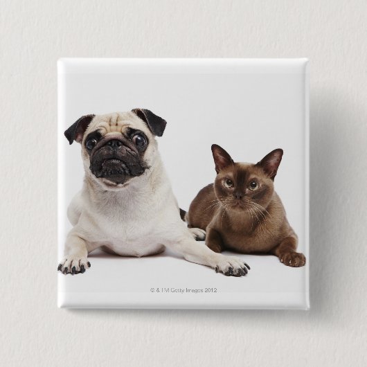 Pug en Birmese kat Vierkante Button 5,1 Cm (Voorkant)