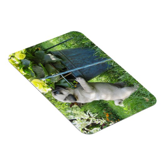 Pug en bloemen magneet (Rechterzijde)