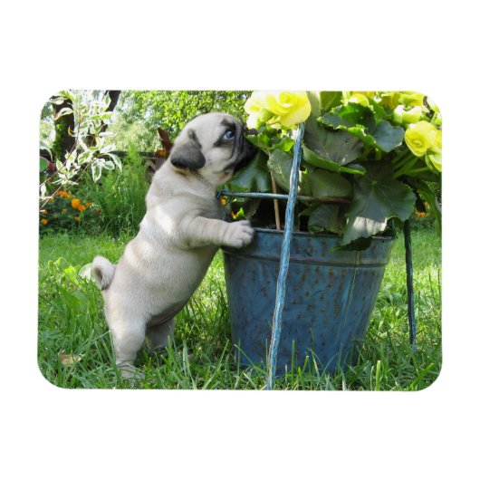 Pug en bloemen magneet (Horizontaal)