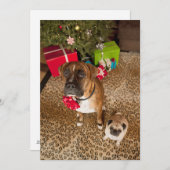 Pug en bokserzitting voor Kerstboom Feestdagenkaart (Voorkant / Achterkant)