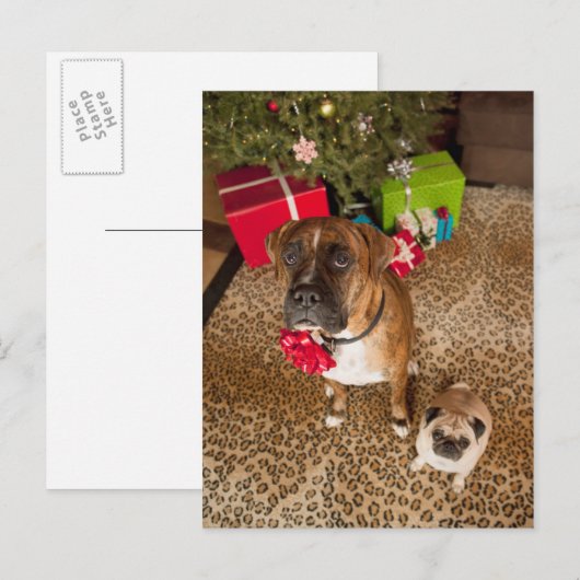 Pug en bokserzitting voor Kerstboom Feestdagenkaart (Voorkant / Achterkant)