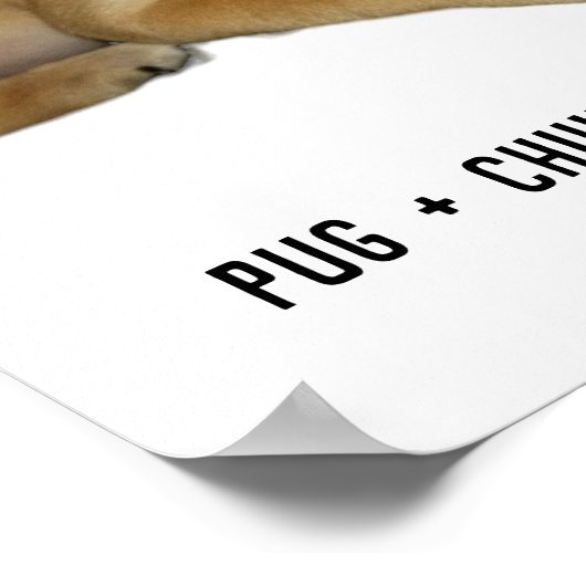 Pug en Chihuahua Schattige Hondenpuppy Ras Mix Eve Poster (Hoek)