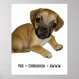 Pug en Chihuahua Schattige Hondenpuppy Ras Mix Eve Poster