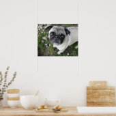 Pug en kiezelsteentjes print (Keuken)