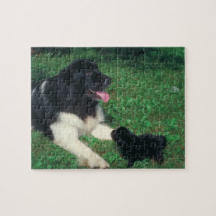 Pug en Newfoundland Dog Puzzle Legpuzzel