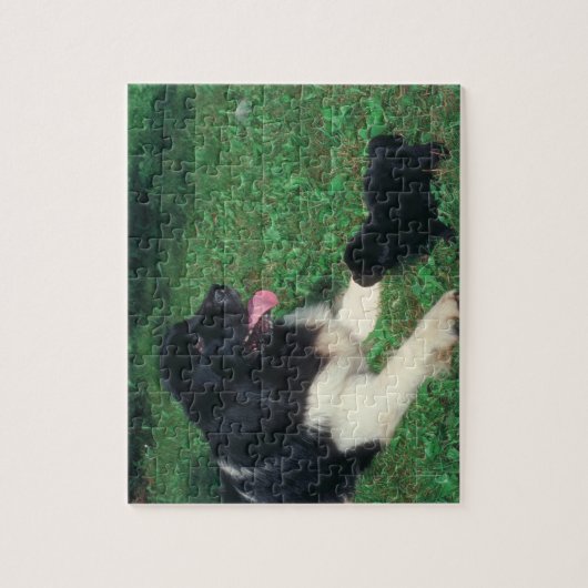 Pug en Newfoundland Dog Puzzle Legpuzzel (Verticaal)