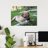 Pug- en Sharpei-puppydruk Poster (Thuiskantoor)