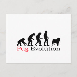 Pug Evolution Briefkaart