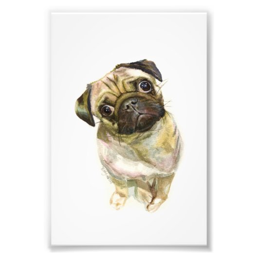 Pug Face Art Print | Cute Pug Dog Foto Afdruk (Voorkant)