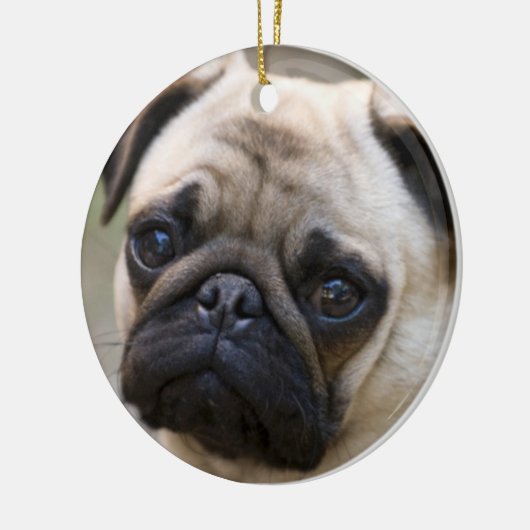 Pug Face Keramisch Ornament (Links)