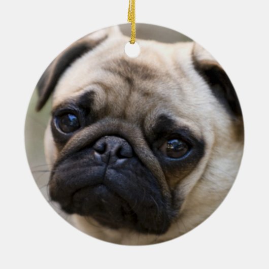 Pug Face Keramisch Ornament (Achterkant)