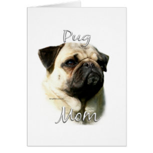Pug (fawn) Mam 2