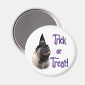 Pug (fawn) Trick Magneet (Voorkant / Achterkant)