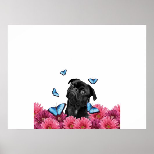 Pug Gerbera Butterflies | Cute Black Dog Poster (Voorkant)