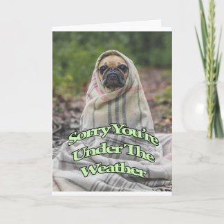 Pug Get Well Card Kaart