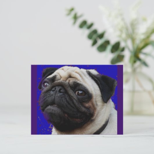 Pug—Gifts—Schattig gezicht Briefkaart (Staand voorkant)