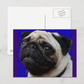 Pug—Gifts—Schattig gezicht Briefkaart (Voorkant / Achterkant)