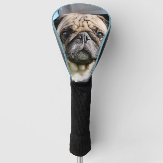 Pug Golfheadcover (Voorkant)