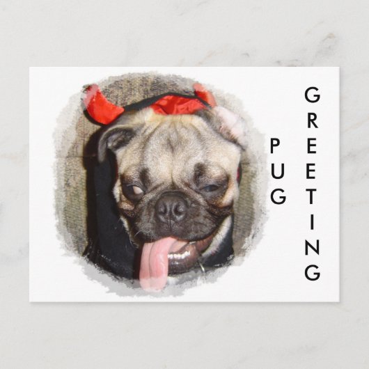 Pug Greeting Briefkaart (Voorkant)